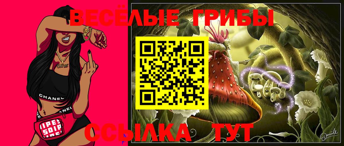 Псилоцибиновые грибы мицелий Нарткала